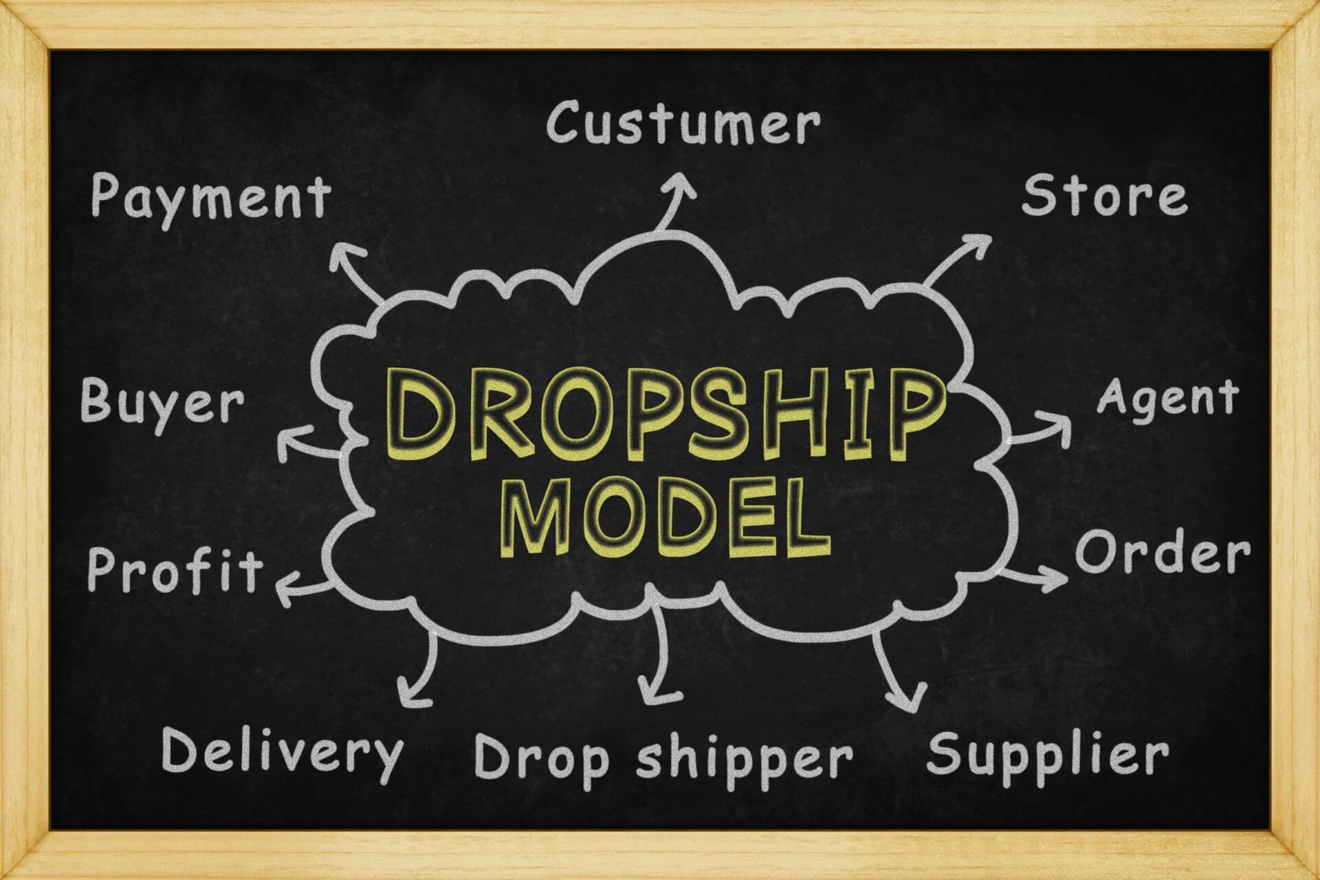 dropship model